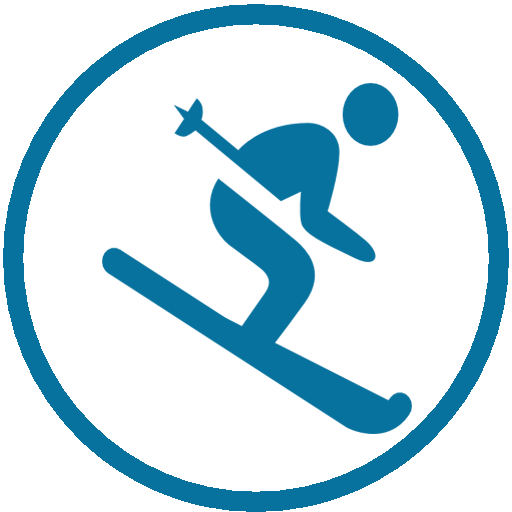icon ski